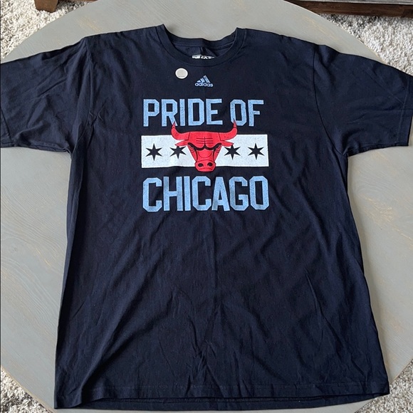 Adidas Chicago Bulls “Pride Of Chicago” T-Shirt - Picture 1 of 3